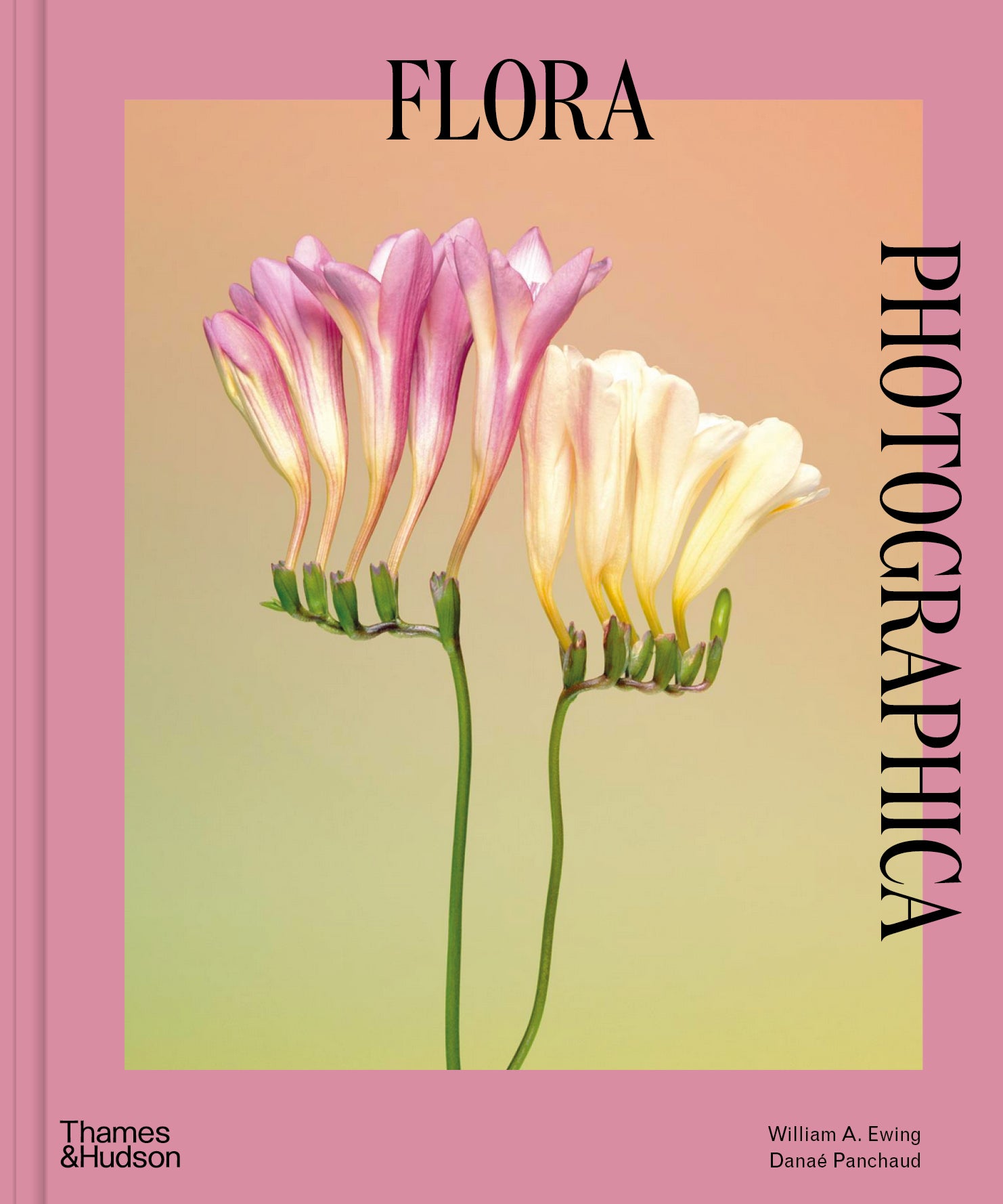 FLORA PHOTOGRAPHICA: THE FLOWER IN CONTEMPORARY PH: Masterworks of Contemporary Flower Photography