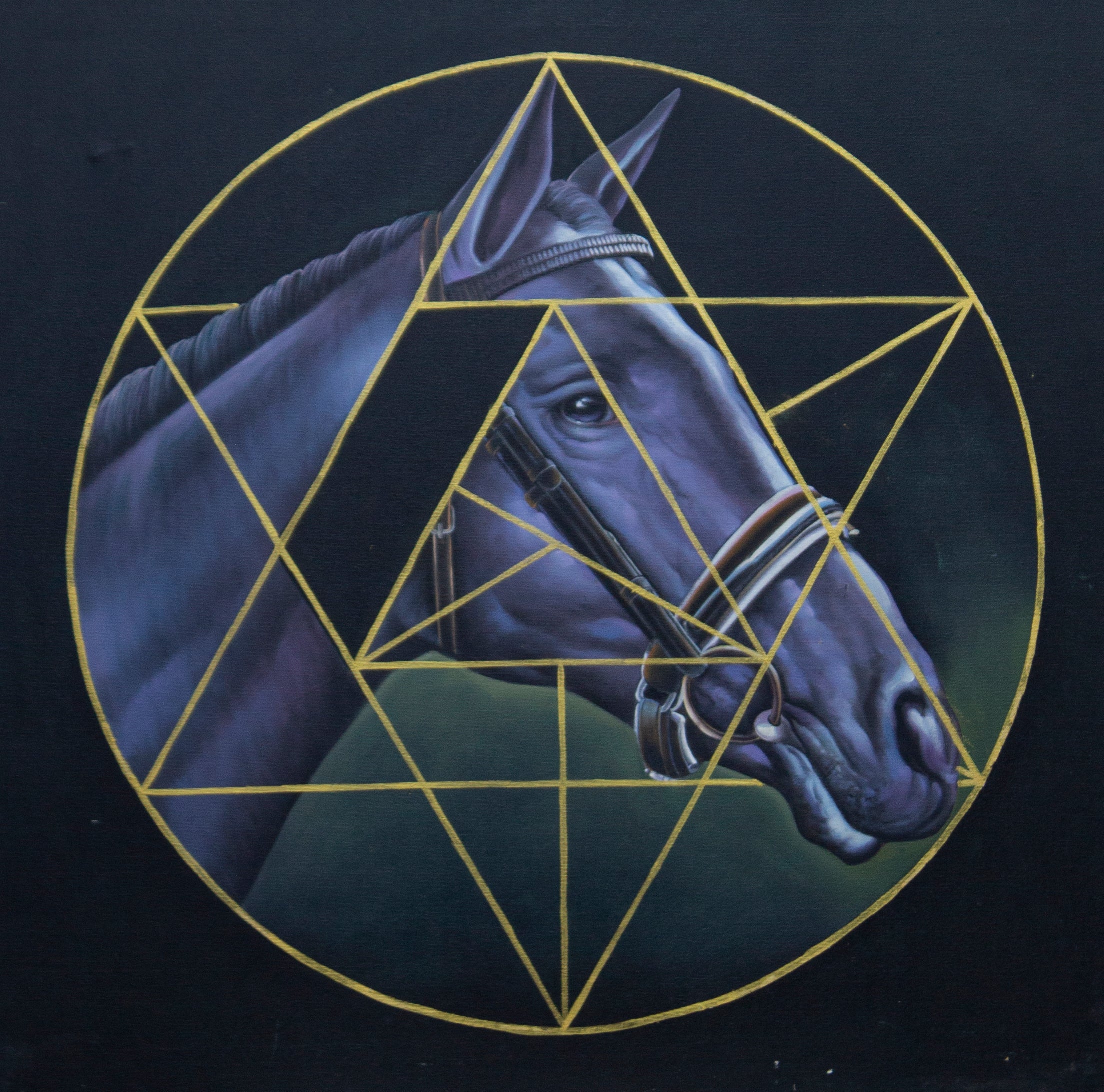 Equine Geometry